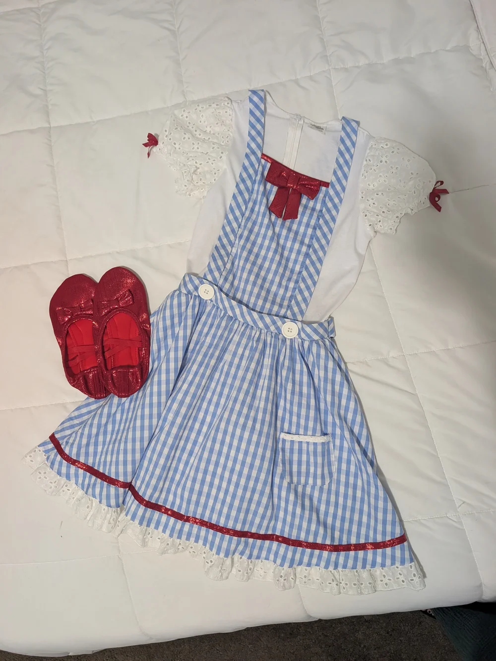 Blue Gingham Dorothy Kids Halloween Costume with Red Accents